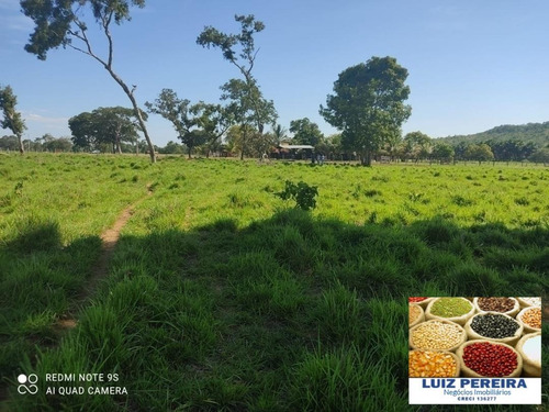 Fazenda À Venda Em Duere - To - De 60 Alqueirões (pecuária) - 1584