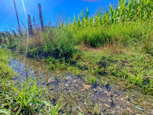 Terreno En Venta En Yerbas Buenas - Excelente
