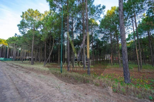 Imagen 2 de 5 de Lote En Venta - Pinamar Norte