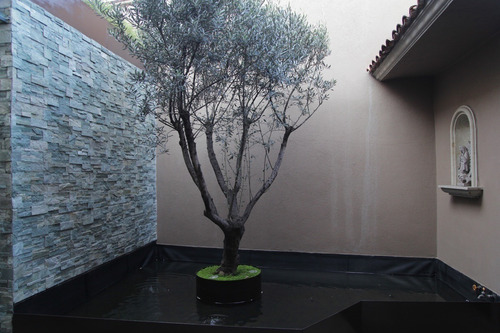 Imagen 4 de 30 de Muy Bonita Casa En Venta Secoyas, Bosques
