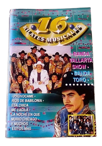 Banda Vallarta Show Banda Toro 16 Exitos Tape Cassette 1994