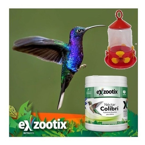 Imagen 4 de 6 de Alimento Nectar Para Picaflor Colibri Exzootix 300gr