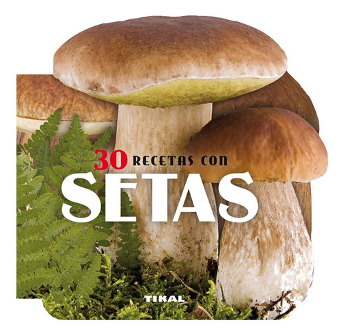 Recetas Setas - Susaeta