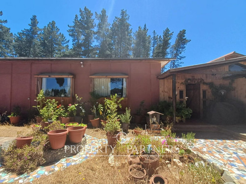 Algarrobo, Bosque De Algarrobo Parcela 100% Plana
