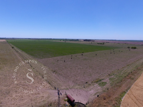 Venta Campo Mixto. 180 Hectáreas. Calchaquí, Santa Fe.
