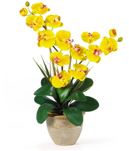 Arreglo De Orquídea De Seda Phalaenopsis De Doble Tall... | MercadoLibre