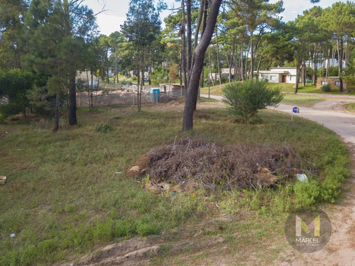 Imagen 3 de 10 de Lote En Venta - Zona Alamos Ii - Pinamar