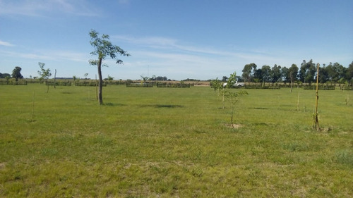Imagen 13 de 14 de Villa Renata Arroyo Vega - Esquina - Corrientes - Argentina