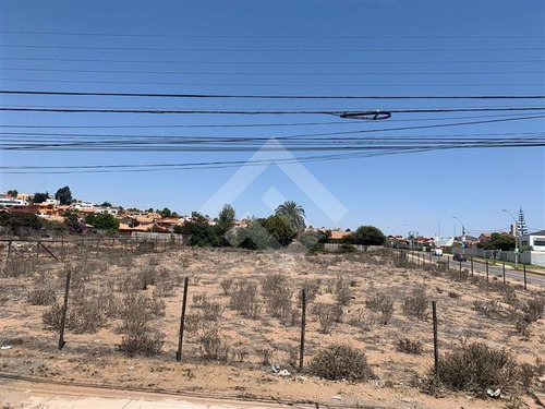 Imagen 5 de 9 de Sitio En Venta En Coquimbo
