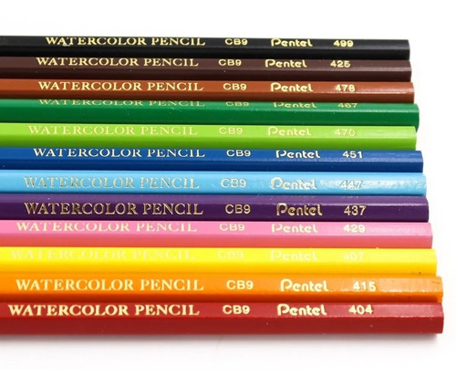 Imagen 4 de 4 de Colores Con 12 Piezas Punta Suave Pentel Full