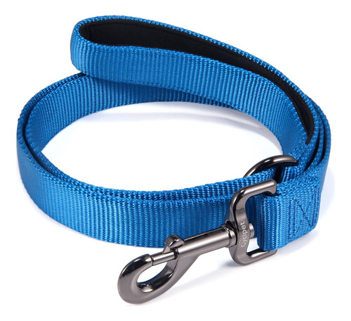 Correa De Perro De 4 Pies Con Asa Acolchada-robusta Corre...