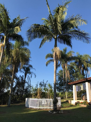 Imagem 21 de 21 de Maravilhosa Chácara Em Jarinu Com Piscina Árvores Frutíferas