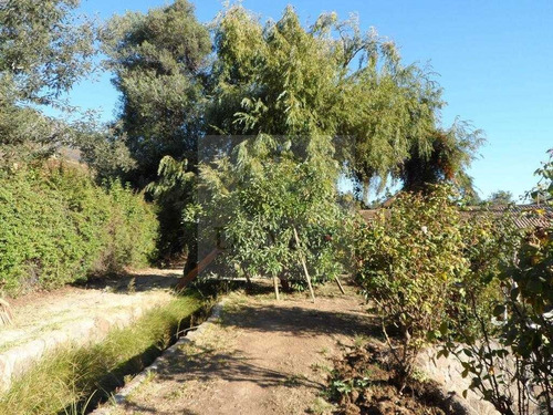 Av. Larrain / Alvaro Casanova