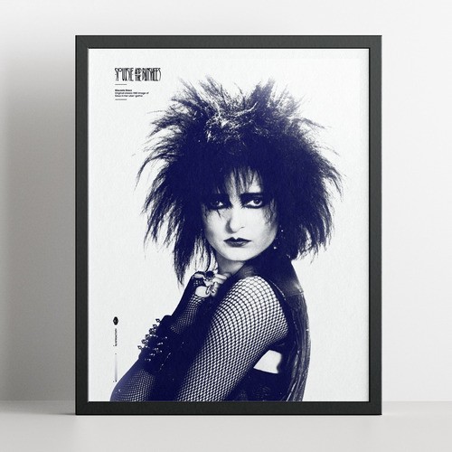 Cuadro 40x50 Siouxsie And The Banshees