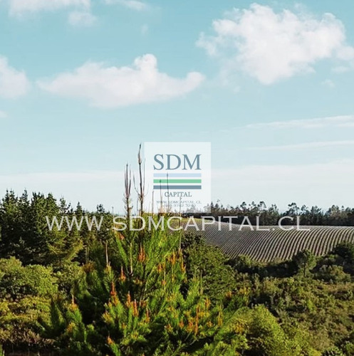 Venta Terreno - Sitio 5000mts Cobquecura Ñuble