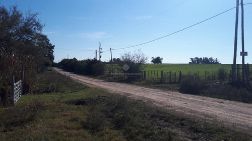 Imagen 2 de 5 de Campo De 16 Hectáreas A Minutos De Tala