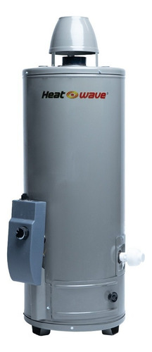 Calentador De Agua 10 Galones Gas Lp Heatwave Hw-gt10p/n Color Gris