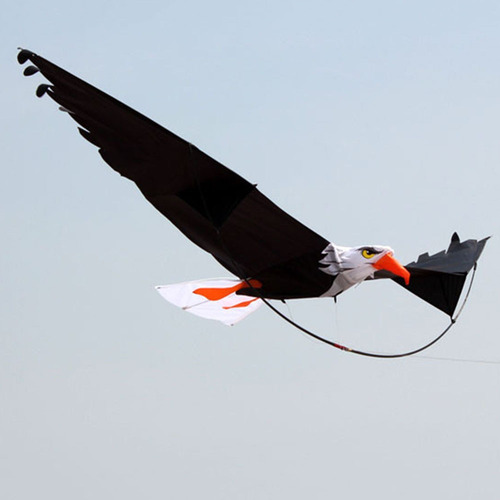 Nueva Cometa De Acrobacia De Una Sola Línea De Cometa De Águ