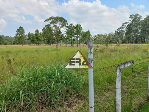 Imagem 5 de 9 de Área À Venda, 100000 M² Por R$ 60.000.000,00 - Labitare - São Paulo/sp - Ar0006