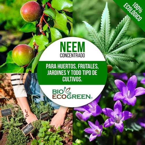 Aceite de Neem Concentrado