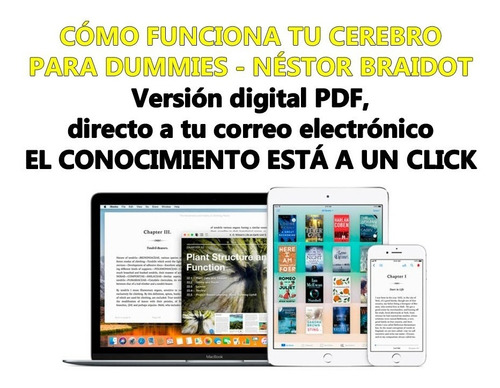 Cómo Funciona Tu Cerebro Para Dummies Néstor Braidot