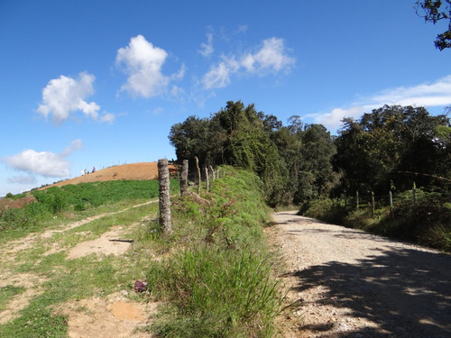 Imagen 7 de 30 de Finca En Venta En Santuario Antioquia Hsz4