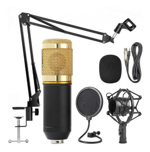 Microfono Condensador Andowl Mic 7 / Para Estudio De Trans.