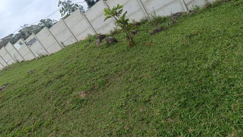 Vendo Terreno 8x17 Vem Nele, Último Lote, Valor Negociável