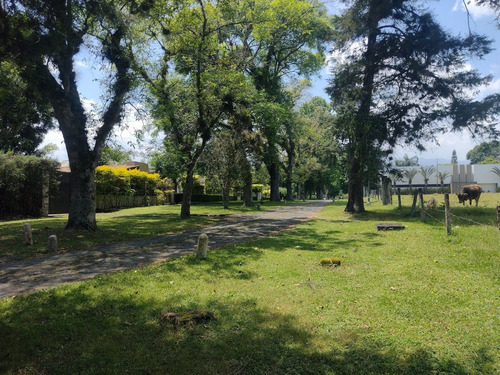 Terreno Campestre A La Venta En Frac. Manantial , Xalapa, Veracruz