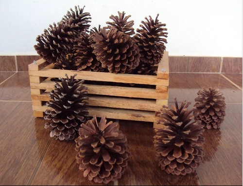 Pinhas Naturais Decoração Natal 20 Unidades | Frete grátis Pinhas Naturais Decoração Natal 20 Unidades | Frete grátis