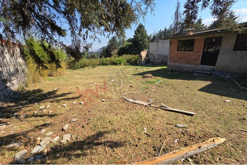 Terreno En Venta