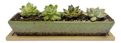 Maceta Rectangular Larga De Cerámica Verde De 9.8 Pulgadas P
