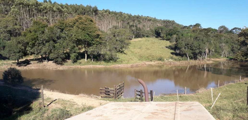Imagem 3 de 14 de Chácara, Sitio Mococa, São Miguel Arcanjo - R$ 2.2 Mi, Cod: 235116 - V235116