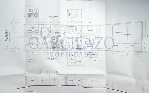 Imagen 2 de 15 de Gran Padrón En Venta - Cordon Sur / Parque Rodó