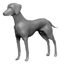 Comprar Estatua Figura Perro Braco De Weimar O Weimaraner Diseño