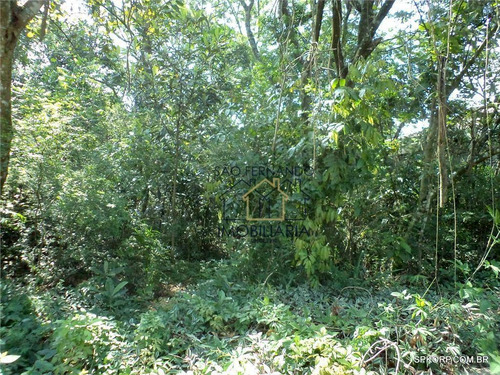 Imagem 5 de 28 de Terreno À Venda, 1000 M² Por R$ 420.000,00 - Forest Hills - Jandira/sp - Te0708