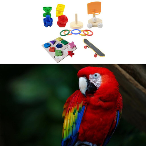 Juguete Para Loros Altura Ajustable Varios Juegos Para Aves