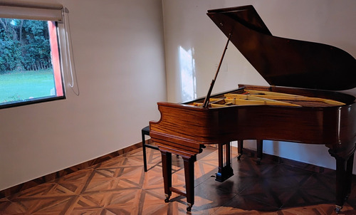Clases De Piano En Zona Norte ( Presencial Y Online )