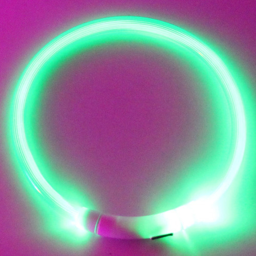 Collar Para Pasear Perros Con Luz Led Recargable Con Usb