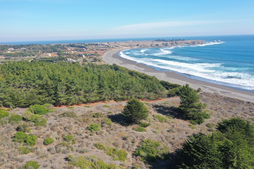Desarrollo Inmobiliario Frente Al Mar En Punta De Lobos