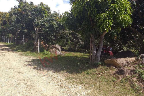 Venta Lote En Vereda Panama - Anapoima - Cundinamarca-9350