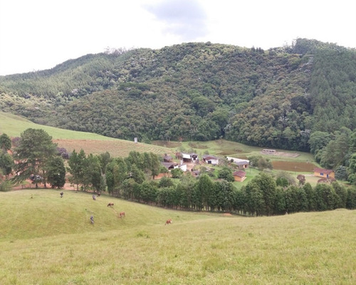 Imagem 27 de 30 de Fazenda Bem Localizada À Venda Em Juquitiba. - 15 - 32982853