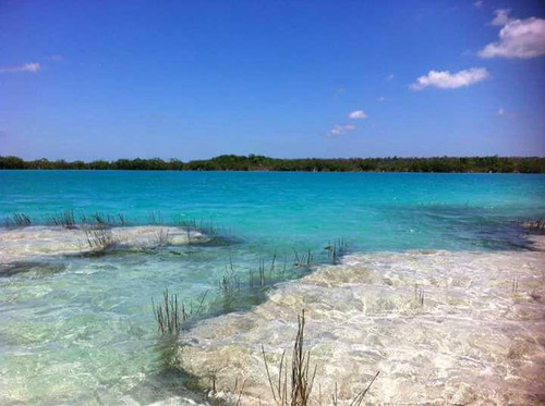 Terreno Turístico En Venta En Othón P. Blanco Quintana Roo