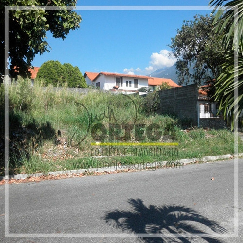 Imagen 4 de 9 de Terrenos En Venta. Urb. San Antonio.