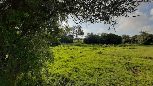 Campo De 26 Has A Metros De Ruta 9 En Pan De Azúcar