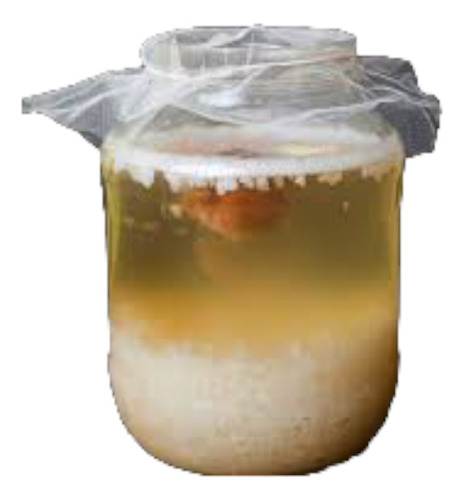 Kefir De Agua