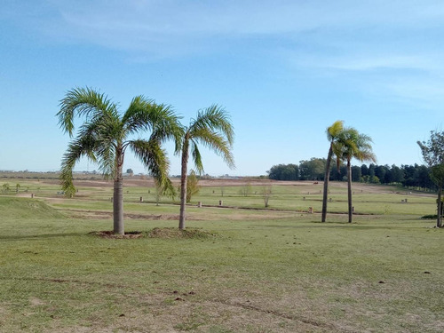 Terreno En Venta - 645mts2 Totales - Zarate Golf Park