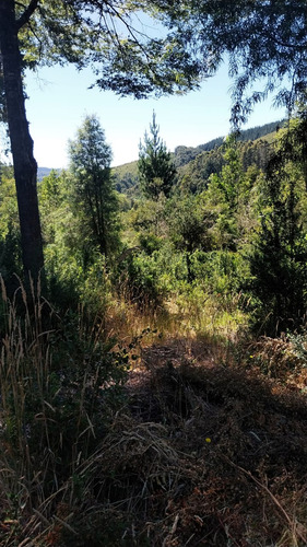 Parcela De 5000m2 A Orilla De La Ruta 206 Valdivia-paillaco