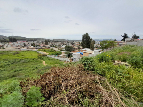 Terreno Con 11 Lotes Con Roles Propios (100748)