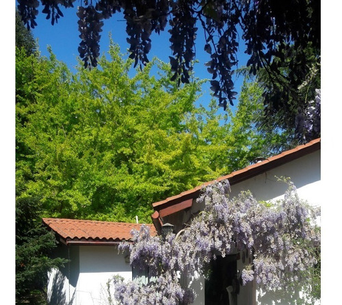 Imagen 1 de 30 de Preciosa Casa Con Dependencias Anexas En Parcela Campestre